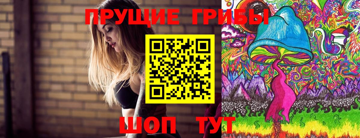Обь  Псилоцибиновые грибы Psilocybine cubensis  Галлюциногенные грибы Magic Shrooms  Вход с VPN 